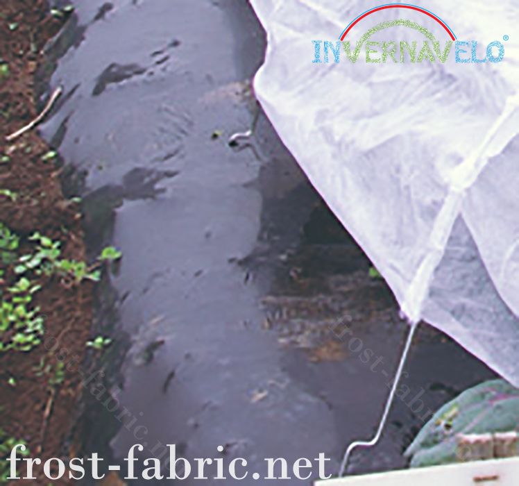 invernavelo thermical blanket protect the crops against the thermical blanket.