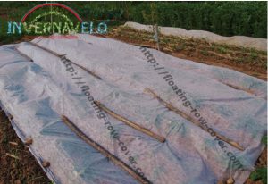 frost fabric